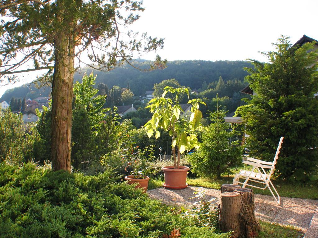 Ferienwohnung In Waldrandlage Zierenberg Экстерьер фото