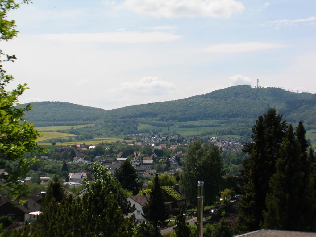 Ferienwohnung In Waldrandlage Zierenberg Экстерьер фото